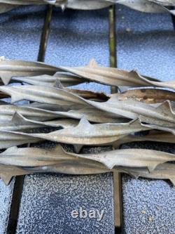 Large Lot of Barbed Wire Antique Collectible 18 Inch Strands