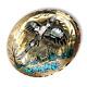 Large Southwestern Brass Pheasant Belt Buckle Turquoise Abalone Malachite Inlay