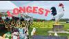 Longest Yard Sale Scores Ohio Antique Shopping And Old Western Town