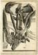 Medical Antique Print-T. 68. MUSCLES-ARM-BONES-Bidloo-Lairesse-1685