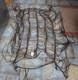 Rare Antique Vtg Fringed Leather Horse Shoo Fly Blanket Equestrian Western Decor