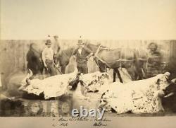 Rare Circa 1878 Large Albumen Photo / Butcher at Red Cloud Indian Agency