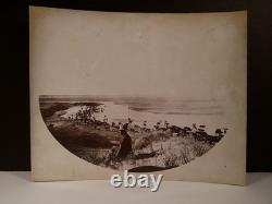 Rare! F. M. STEELE PHOTOGRAPH c1895 COWBOY CATTLE RANCH CIMARRON RIVER KANSAS