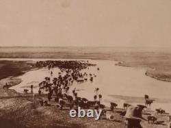 Rare! F. M. STEELE PHOTOGRAPH c1895 COWBOY CATTLE RANCH CIMARRON RIVER KANSAS