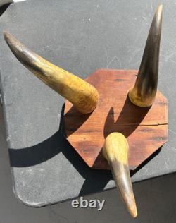 Victorian Foot Stool 3 LARGE COW HORN Legs Wooden octagonal top 1800's Handmade