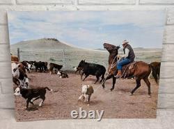 Vintage 1960s Fideler Print Cattle Ranch Eastern Montana Cowboy Rodeo 17.5x23