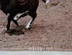 Vintage 1960s Fideler Print Cattle Ranch Eastern Montana Cowboy Rodeo 17.5x23