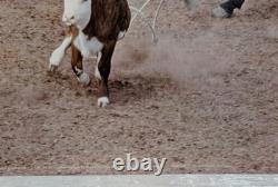 Vintage 1960s Fideler Print Cattle Ranch Eastern Montana Cowboy Rodeo 17.5x23