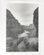 Vintage 20th C. Black & White Large Photograph Western Scene Grand Canyon Cactus