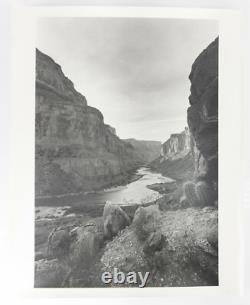 Vintage 20th C. Black & White Large Photograph Western Scene Grand Canyon Cactus