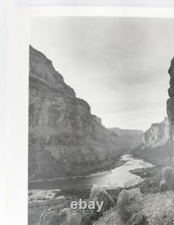 Vintage 20th C. Black & White Large Photograph Western Scene Grand Canyon Cactus
