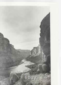 Vintage 20th C. Black & White Large Photograph Western Scene Grand Canyon Cactus