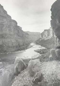 Vintage 20th C. Black & White Large Photograph Western Scene Grand Canyon Cactus
