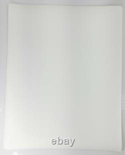 Vintage 20th C. Black & White Large Photograph Western Scene Grand Canyon Cactus