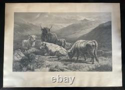 William Watson Scotch Cattle Western Higlands Engraving Antique Print