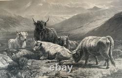 William Watson Scotch Cattle Western Higlands Engraving Antique Print