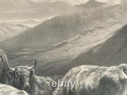 William Watson Scotch Cattle Western Higlands Engraving Antique Print