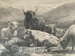 William Watson Scotch Cattle Western Higlands Engraving Antique Print
