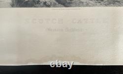 William Watson Scotch Cattle Western Higlands Engraving Antique Print