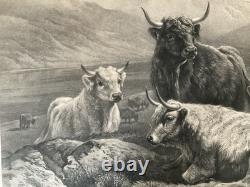 William Watson Scotch Cattle Western Higlands Engraving Antique Print