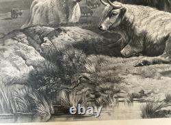 William Watson Scotch Cattle Western Higlands Engraving Antique Print
