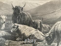 William Watson Scotch Cattle Western Higlands Engraving Antique Print